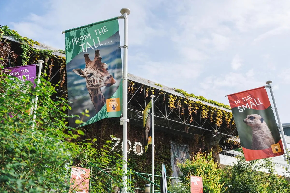 blooloop tweet media