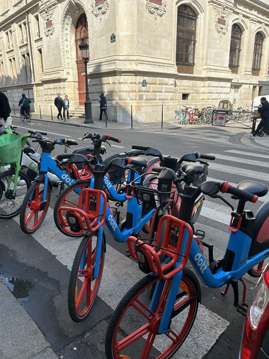 Alexandra Cordebard tweet media