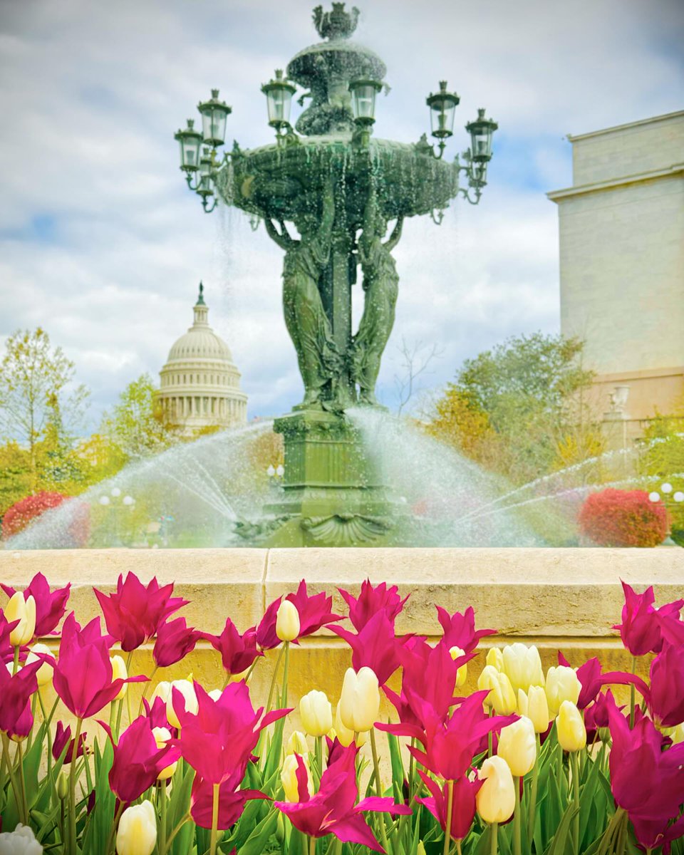 Visit Washington, DC tweet media