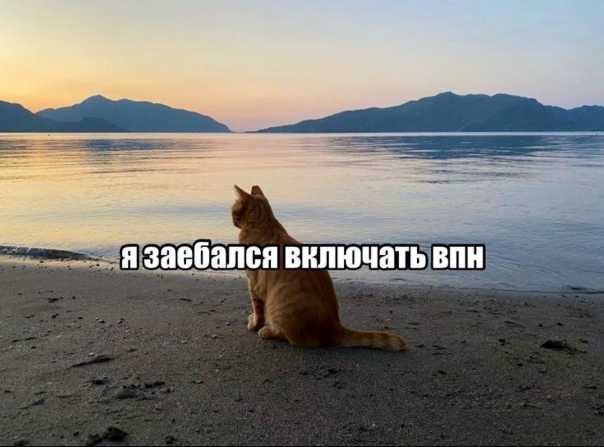 Versvs Christvs tweet media