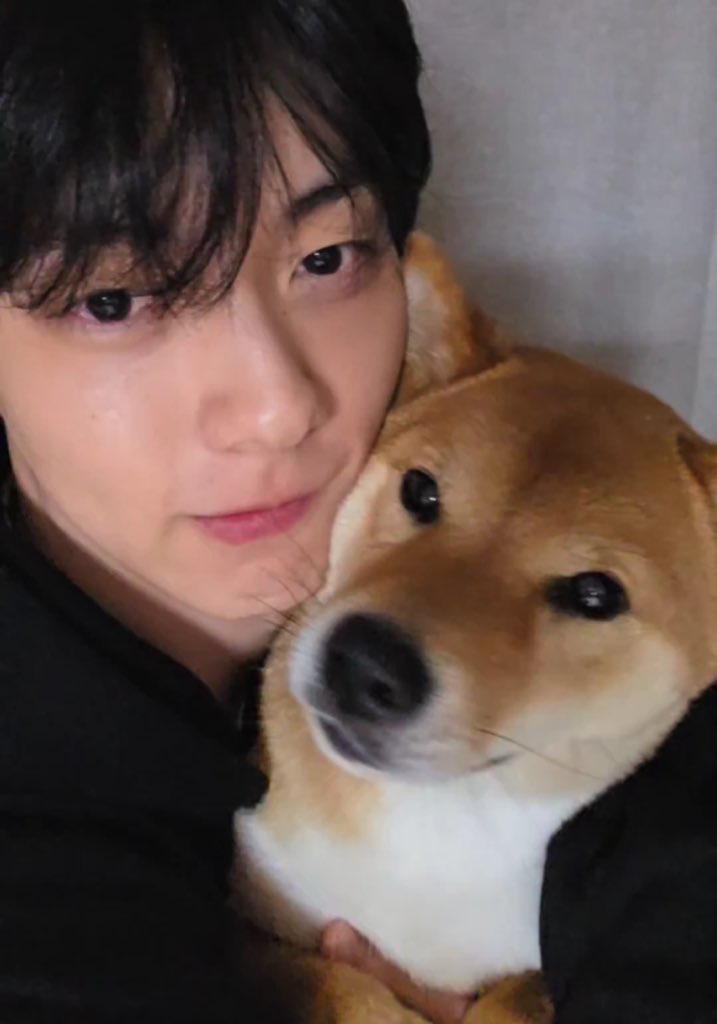 🐱🍀🐰 tweet media