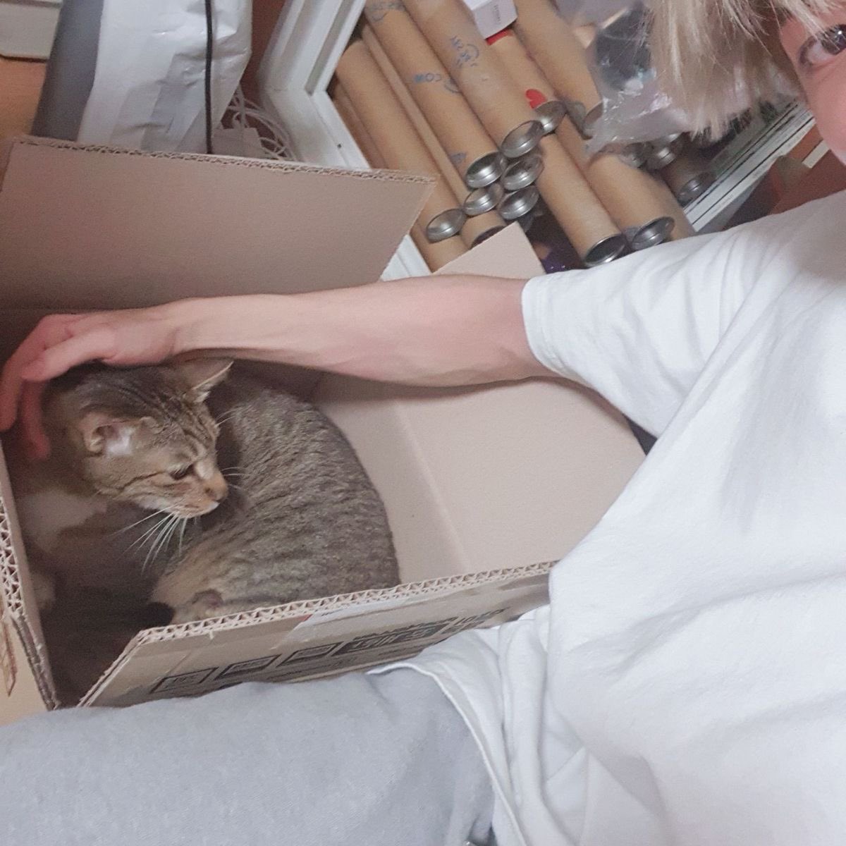 🐱🍀🐰 tweet media