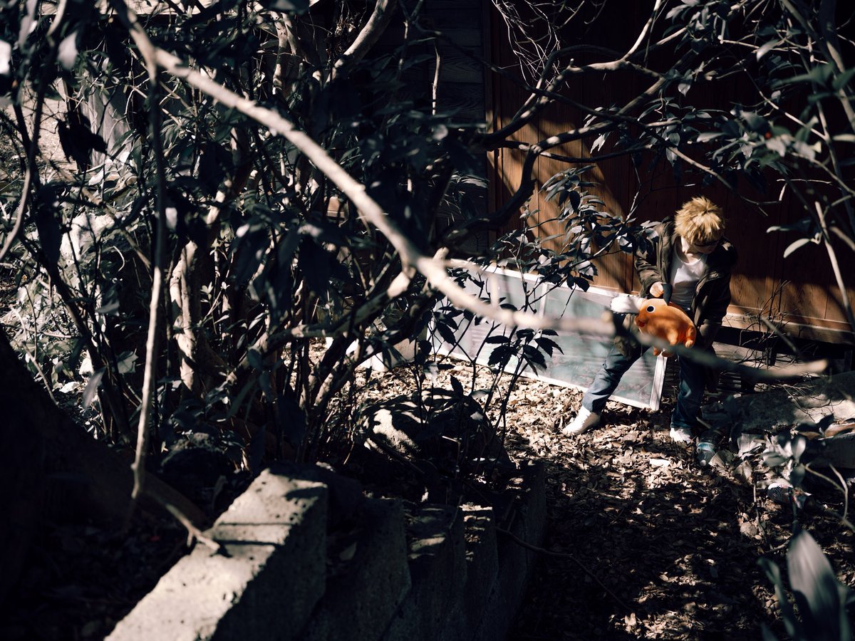 ︎︎ぽん📸 tweet media