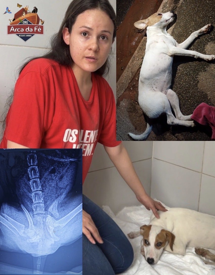 Debora Lopes tweet media