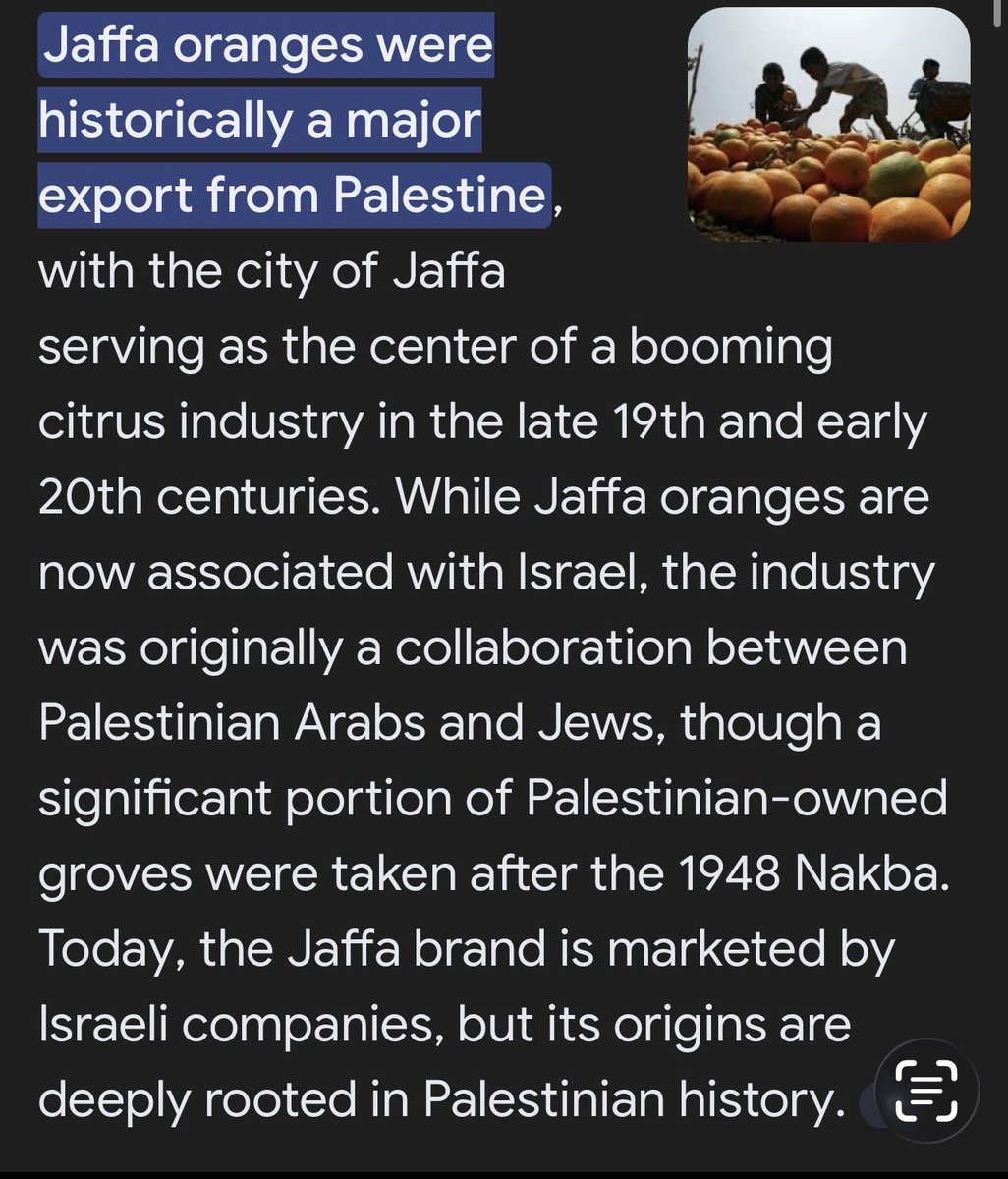 Gemini 🇵🇸 tweet media