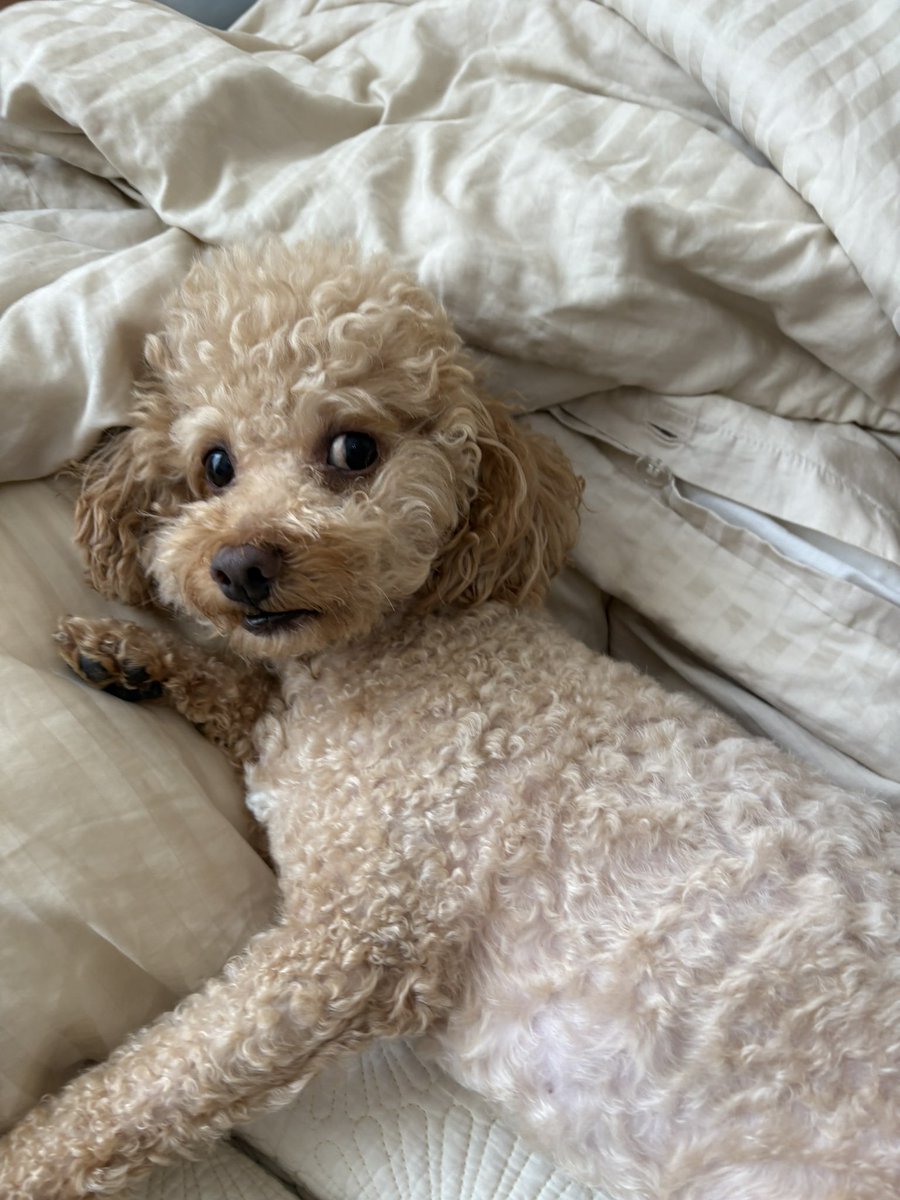 ไอไม่ค่อยได้เข้าครัวแล้ว tweet media