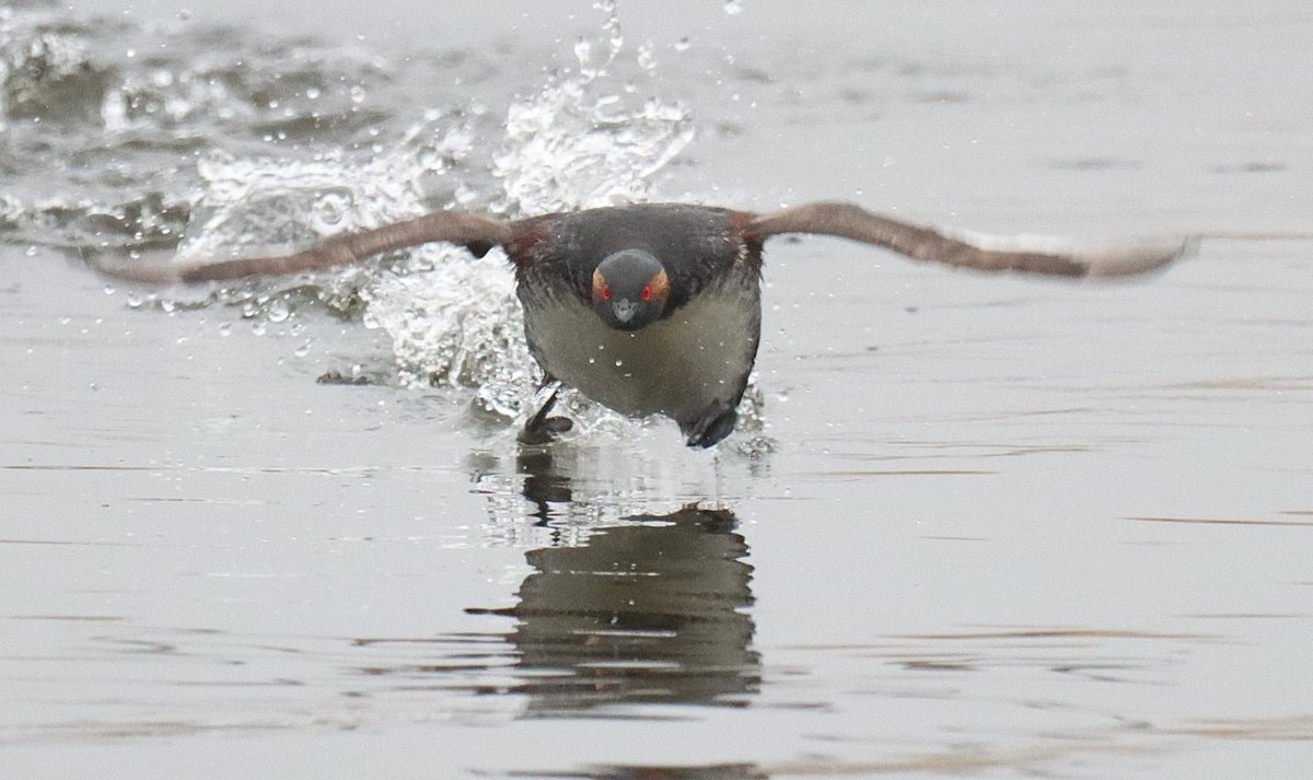 Dave 💙💛 tweet media