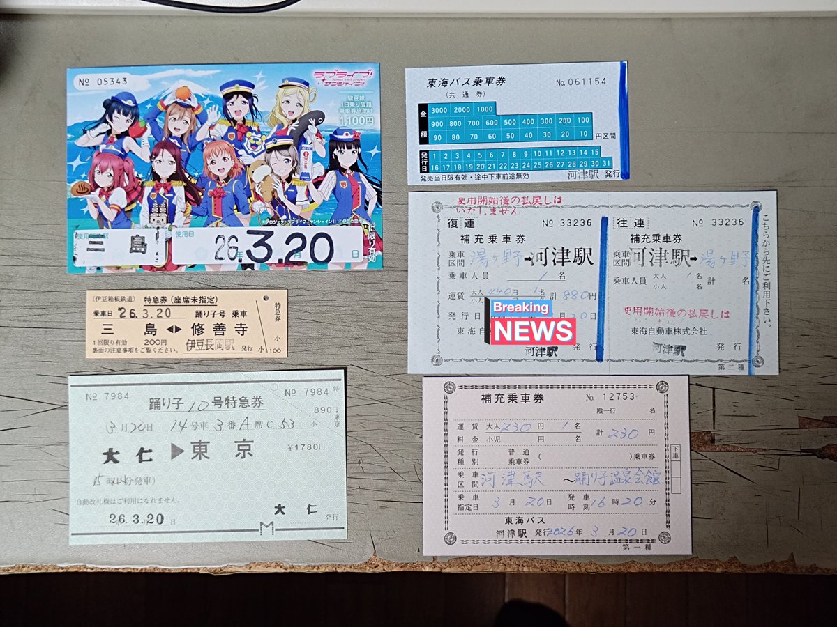 で、今日の釣果。フリー切符はついカッとなり。常備券の特急券は三島