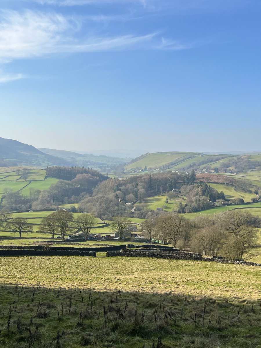 rly cool girl tweet media