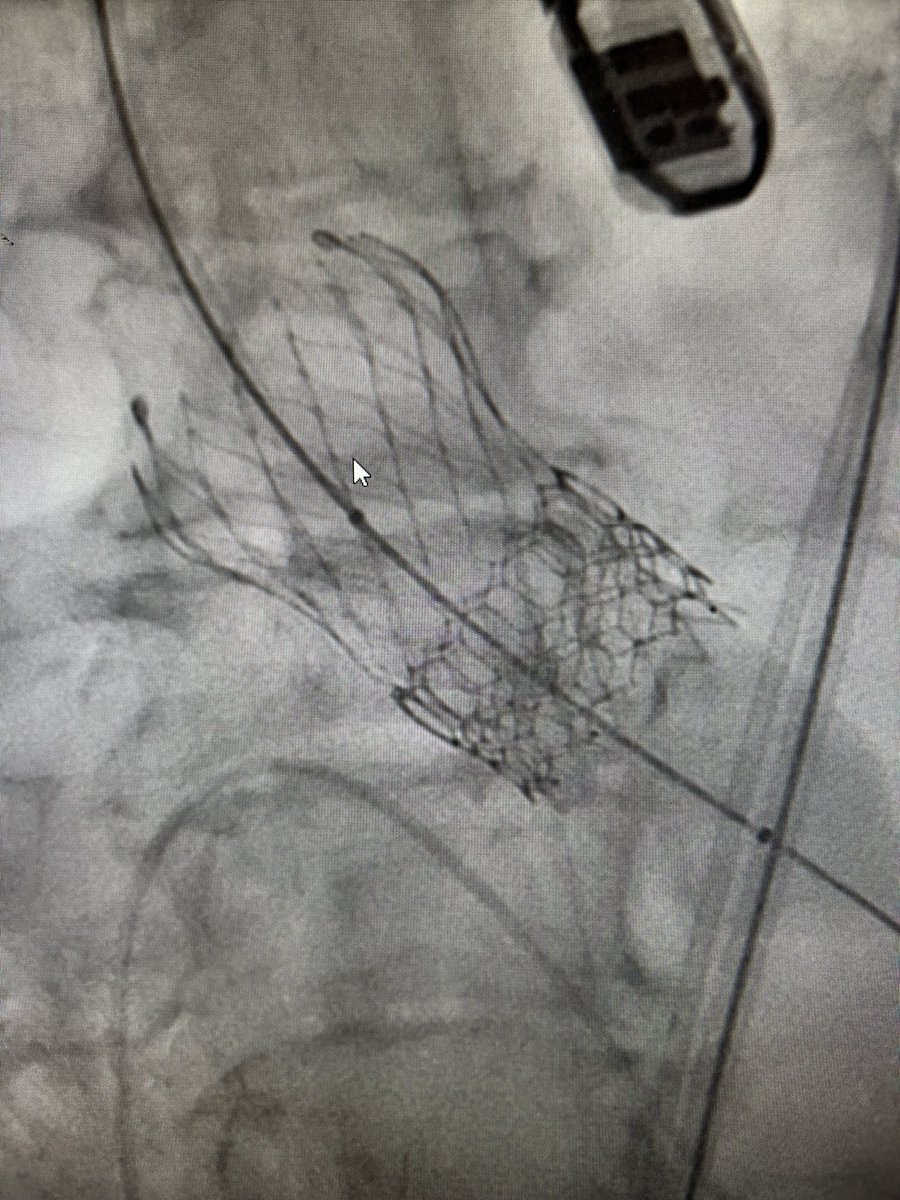 Gui Attizzani tweet media