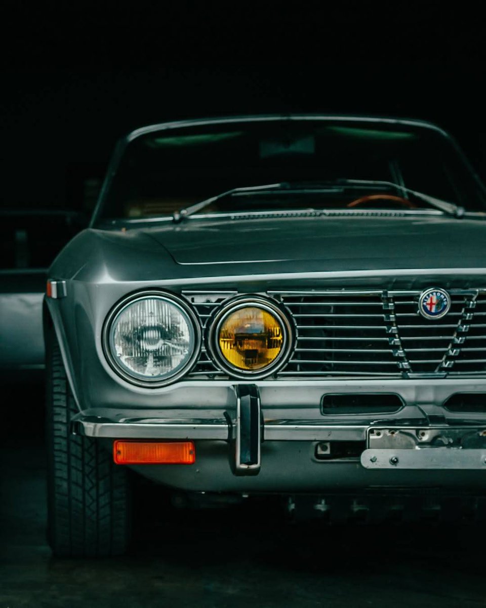 ᗩFƖᑕƖOᑎᗩᗪO ™ tweet media