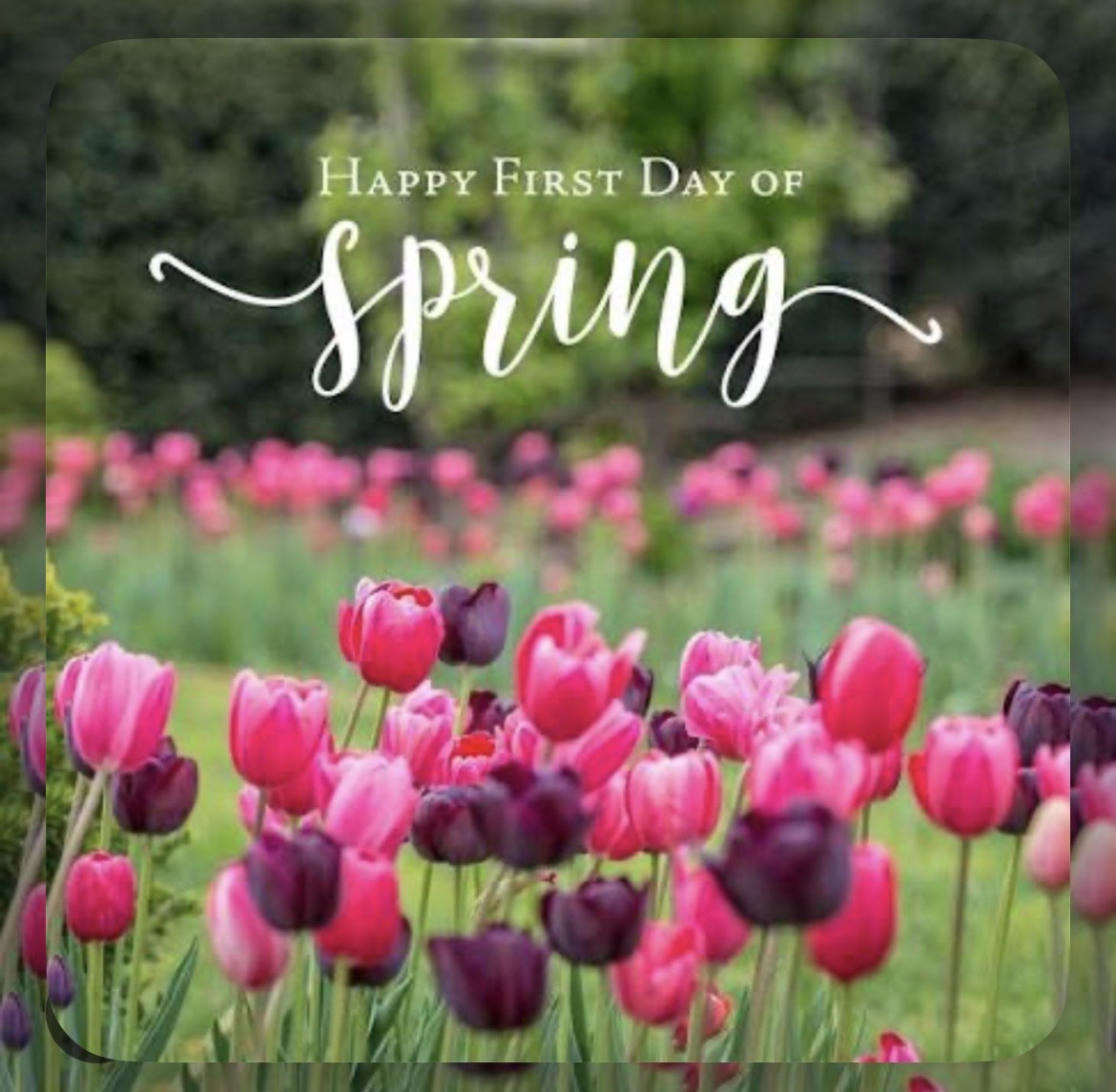 DeKalbCF's tweet photo. 🌞 Happy first day of Spring! Spring sunlight helps your body produce vitamin D, which is important for strong bones and a healthy immune system. https://t.co/kH3oVSMIPe