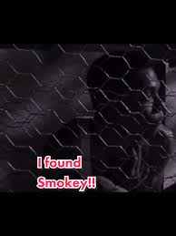 Mike Dobbs tweet media