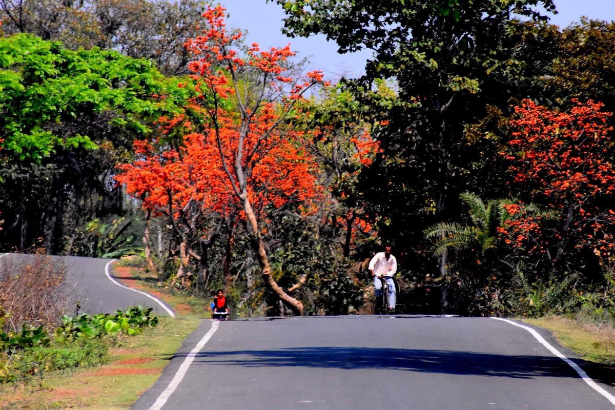 Bengal's untold tales tweet media