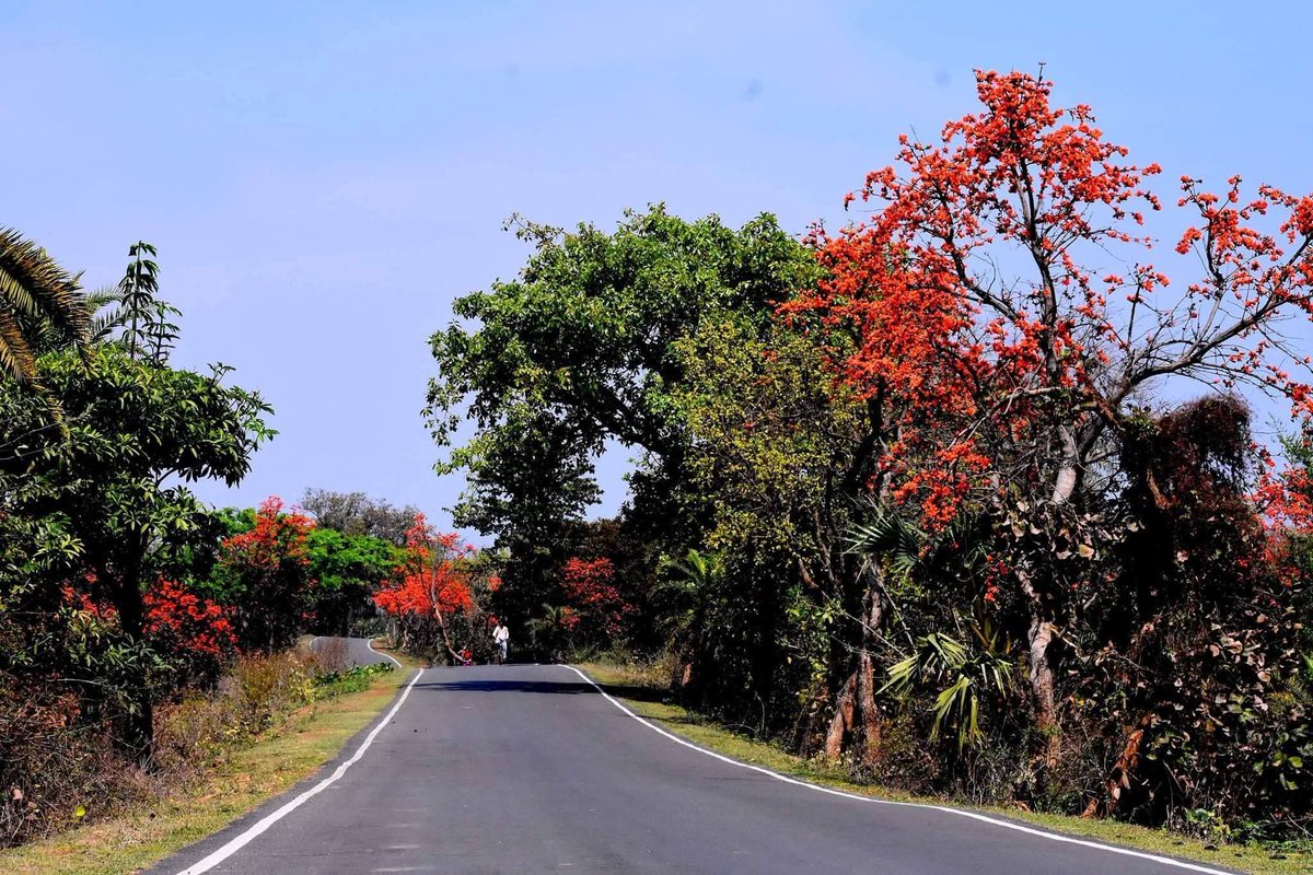 Bengal's untold tales tweet media