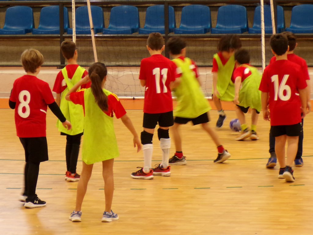 Delegación Provincial de Balonmano de Salamanca tweet media