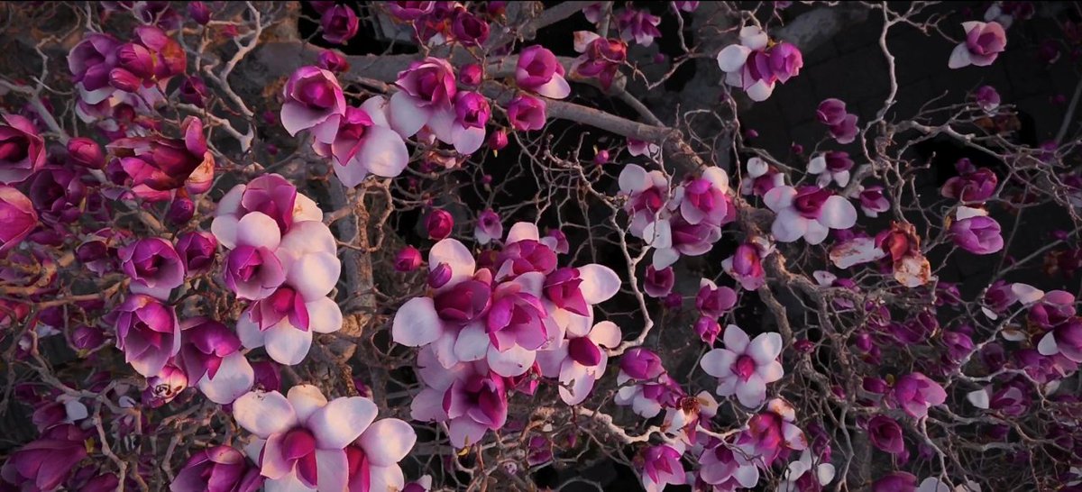 Modern Express 现代快报 tweet media