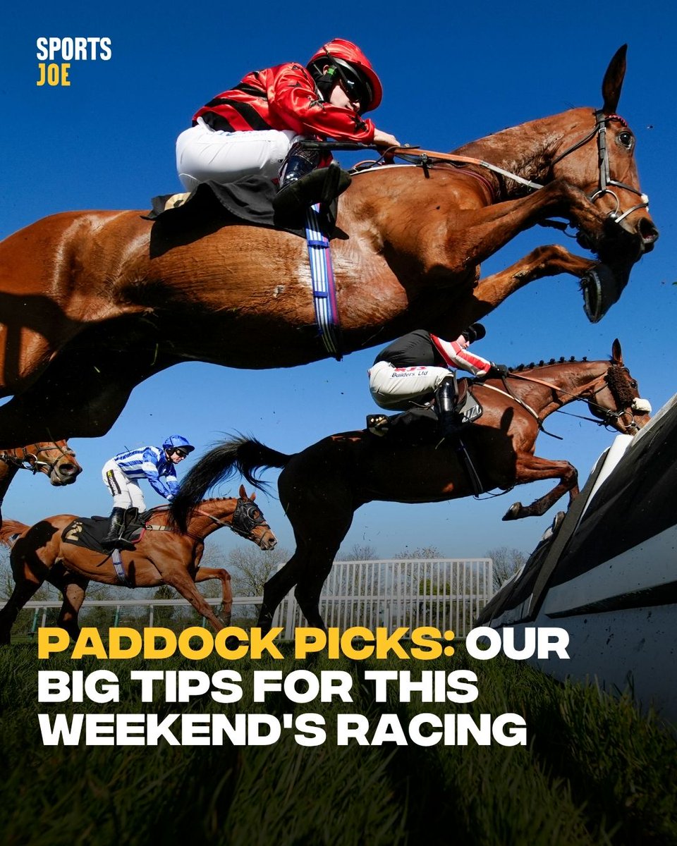 The Paddock tweet media