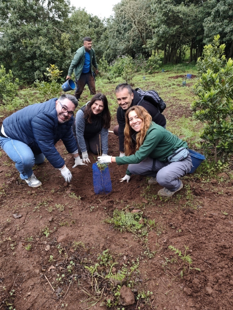 OficinasVerdes's tweet photo. Plantar también es parte del cambio🌱 

Hace unos días nos sumamos a una iniciativa de @EcologicaGobCan  en la Finca de Osorio (Gran Canaria), con motivo del Día Internacional de los Bosques y el Día Mundial del Síndrome de Down 🌳💚

Una acción alineada con nuestra labor: acercar la acción climática a la ciudadanía, cuidar nuestros ecosistemas y fomentar una participación inclusiva.

Junto a @ForestaCan  y @DownLasPalmas seguimos sembrando conciencia y futuro. 🌍✨