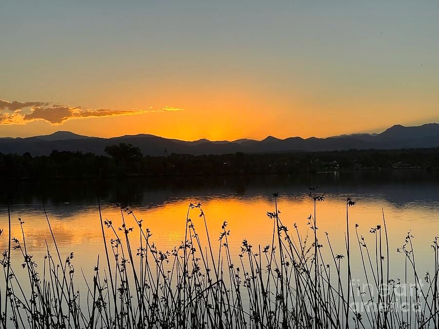 erinmdorffette's tweet image. A beautiful #peaceful #lake #silhouette 

faa.savingmemoriesbymakingmemories.com/featured/peace…

#buyintoart #wallart #zen #zenart #calm #meditation #serenity #water #ArtoftheDay #fineart #photography #colorado #denver