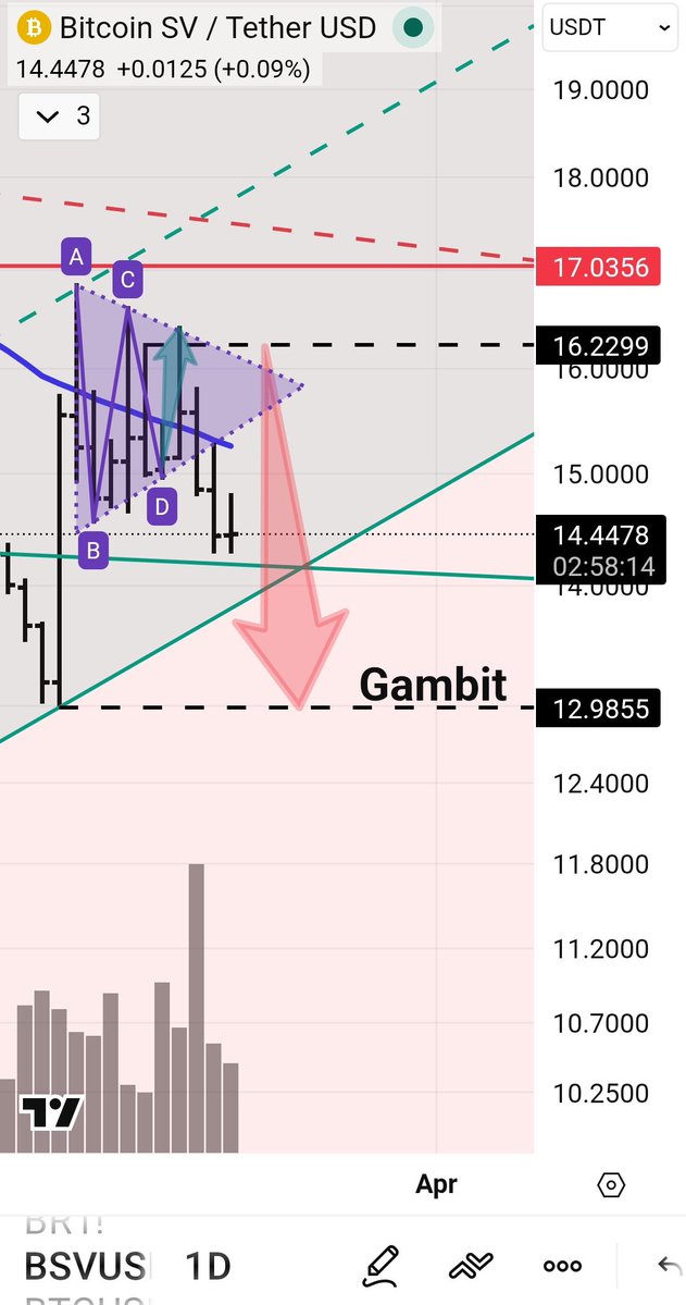 BitcoinSV Russia 🐉 tweet media