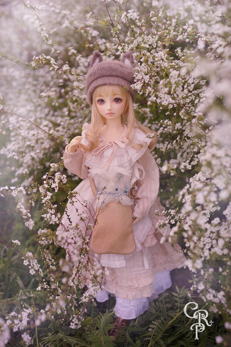 マキマイ tweet media