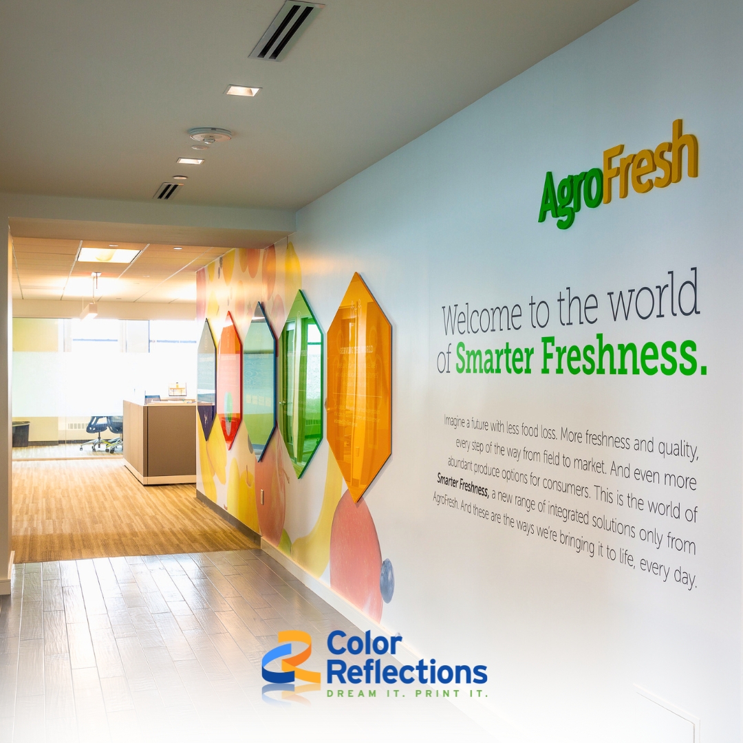 ColorReflectionsPhly tweet media