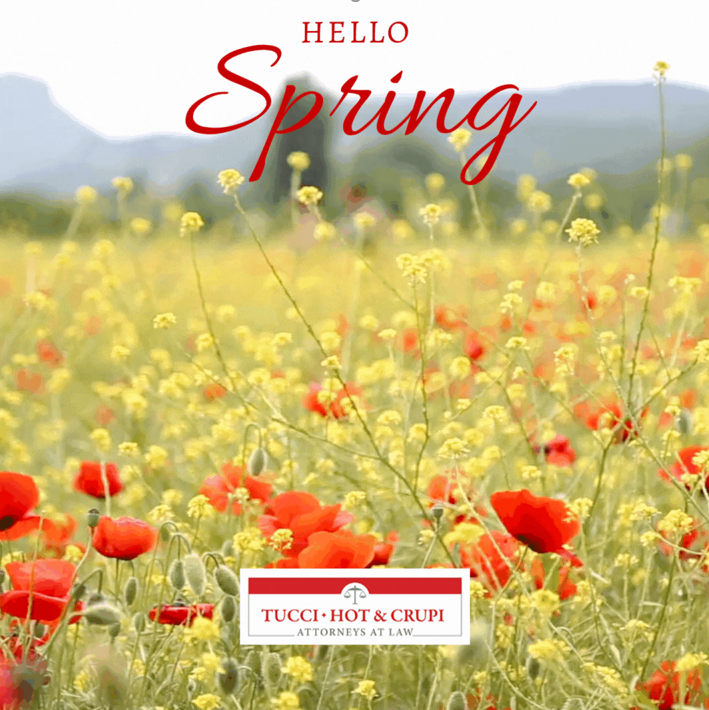 TucciLaw's tweet photo. It’s the first day of Spring! https://t.co/PrdfDdvYHz