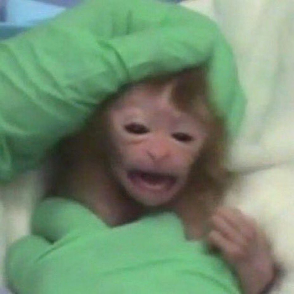 alegandro tweet media