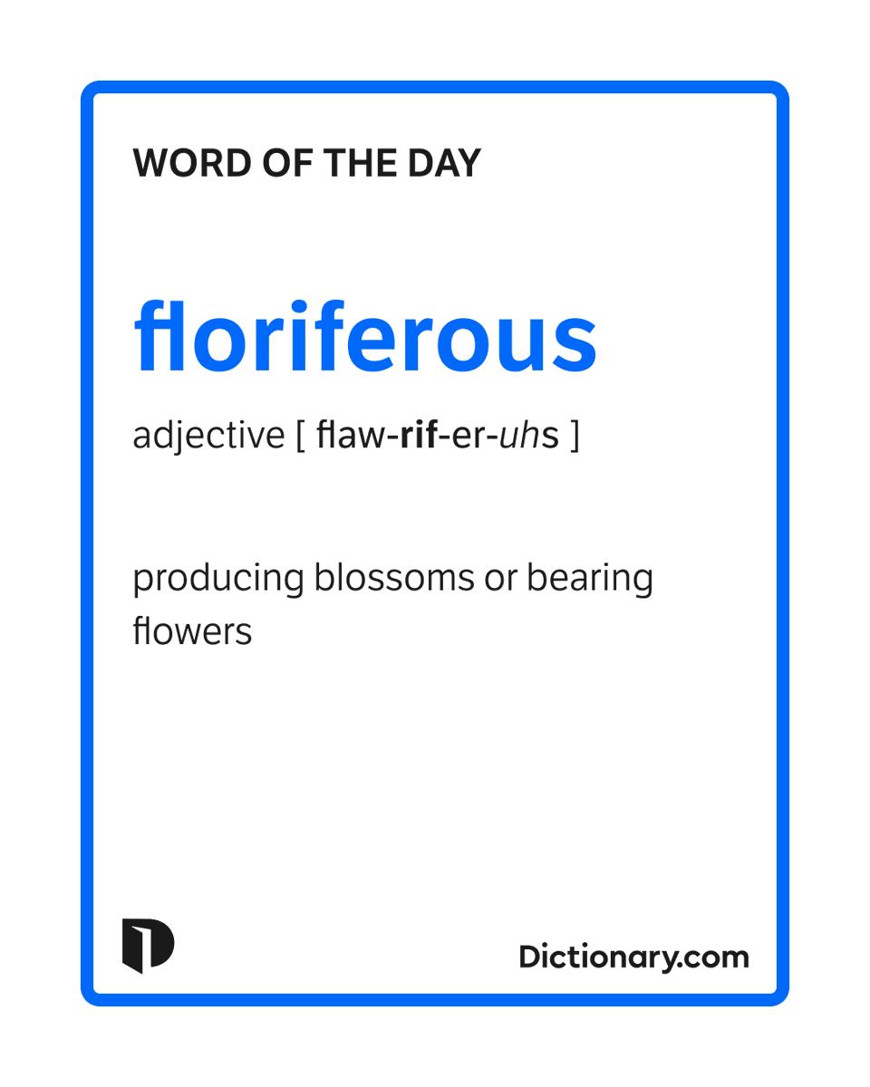 Dictionary.com tweet media