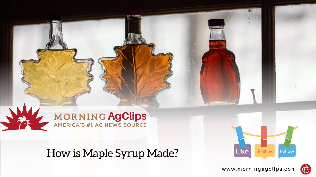 Ag Clips tweet media