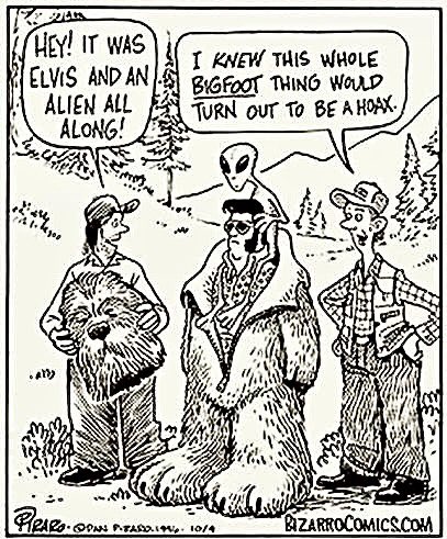 Bugs Finds Bigfoot 👣🪶 tweet media