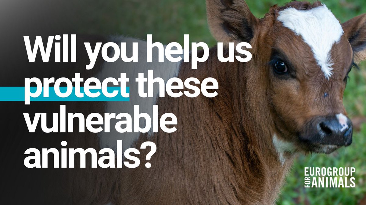 Eurogroup For Animals tweet media