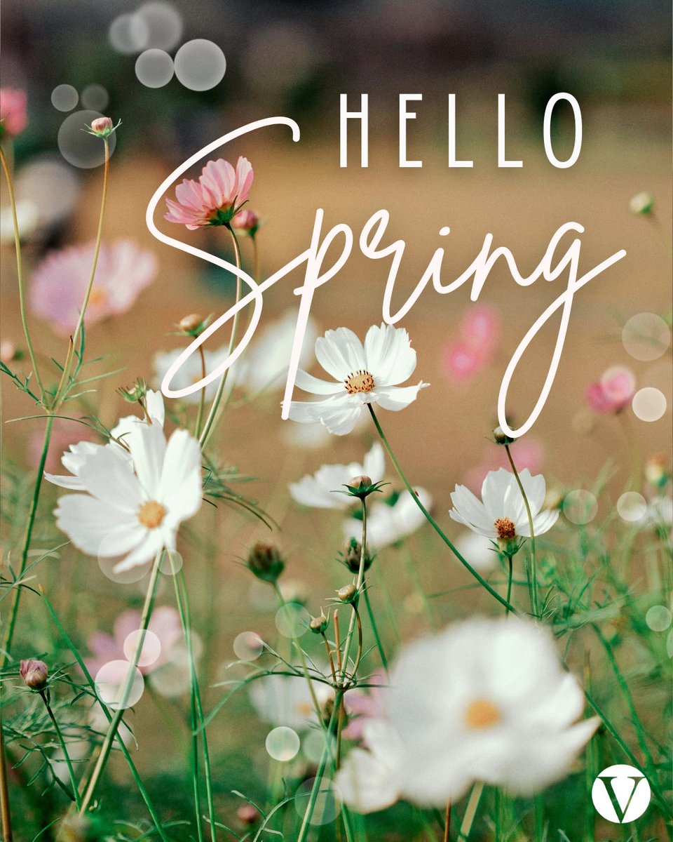 VestaForYou's tweet photo. Hello, Spring 🌸

A fresh season means fresh beginnings for your community. From brighter landscapes to renewed spaces, Vesta is here to help your property bloom all season long. https://t.co/uaiaXTdqe1