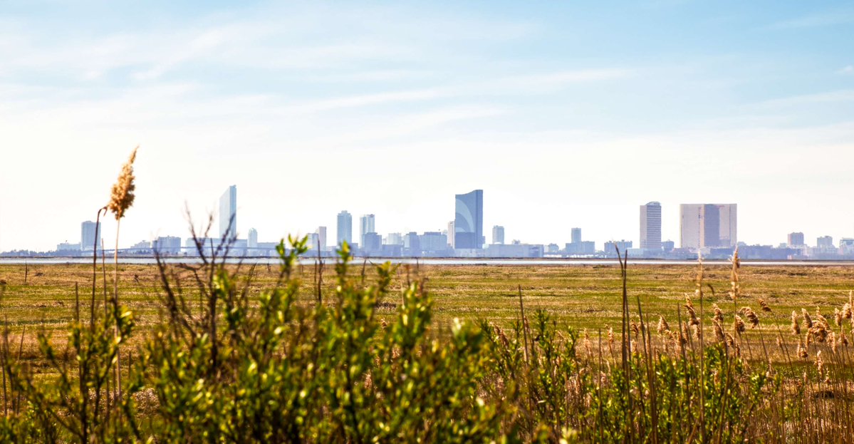 Visit Atlantic City tweet media