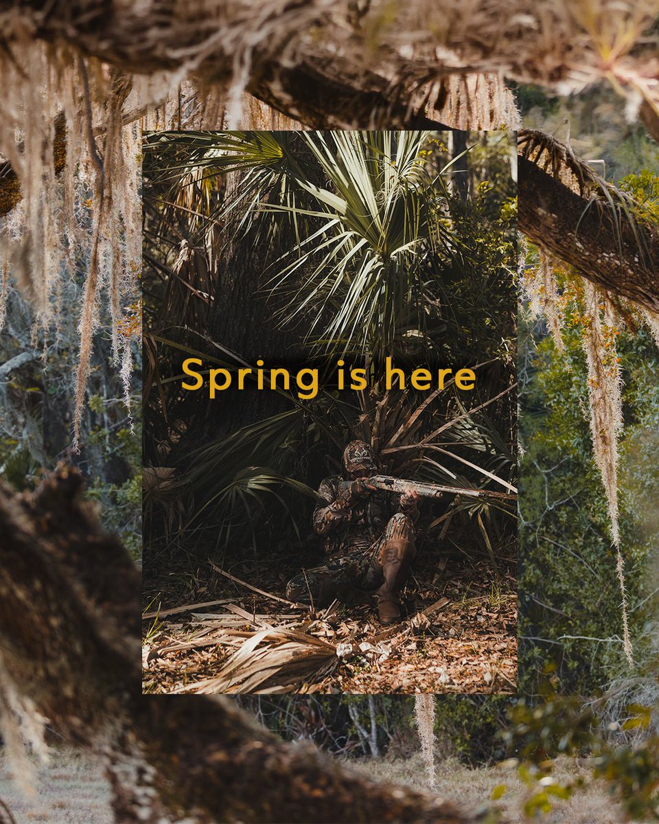 Realtree tweet media