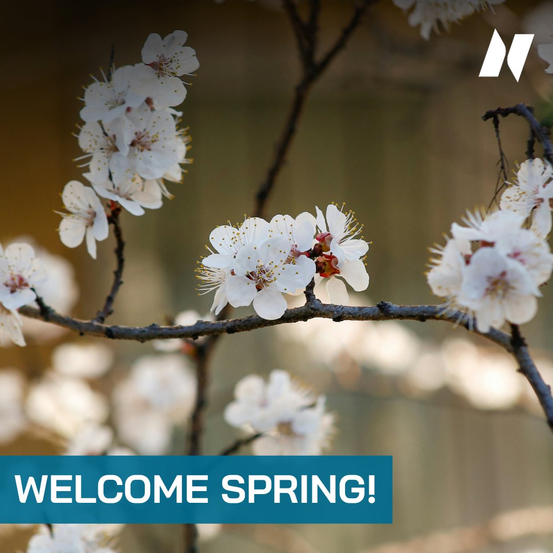 NTPowerNews's tweet image. 🌸 🌞The first day of Spring is here!  Let’s welcome longer days, warmer weather, and a fresh chance to save energy. 

Stay tuned for some easy spring energy-saving tips all season long! 

#HelloSpring #NTPower