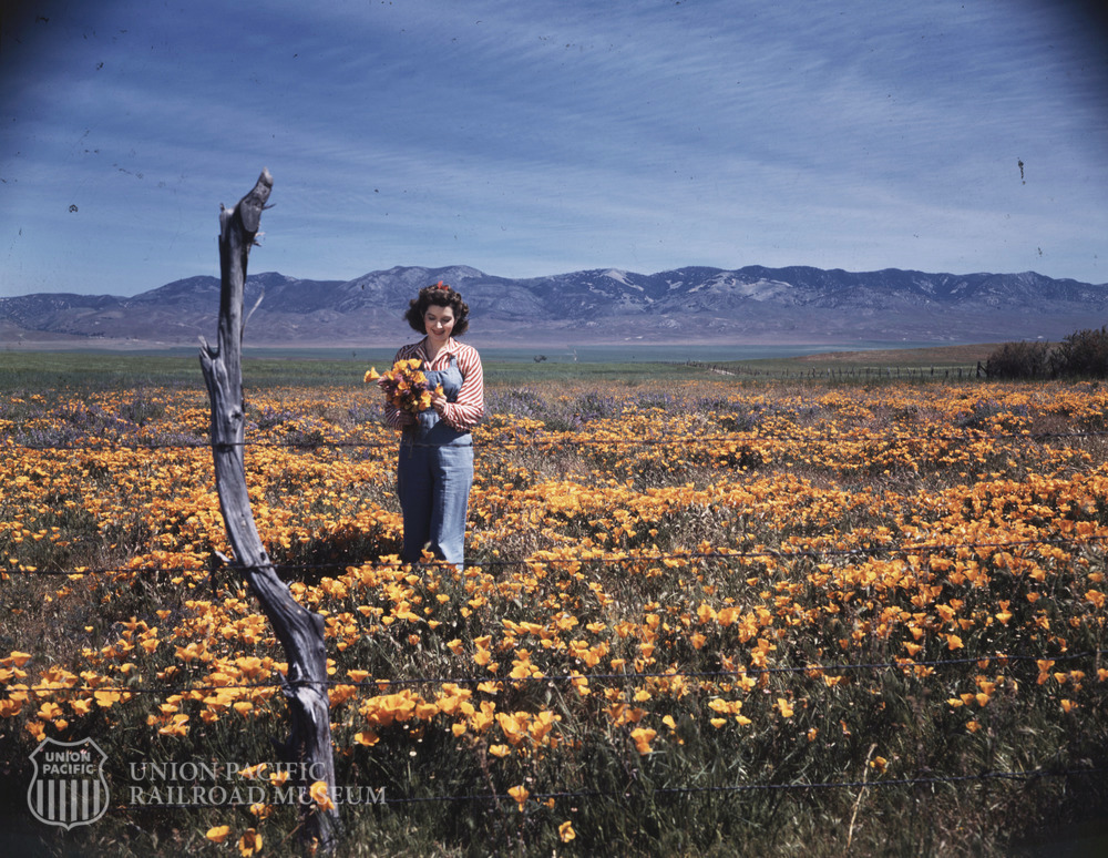 Union Pacific Museum tweet media