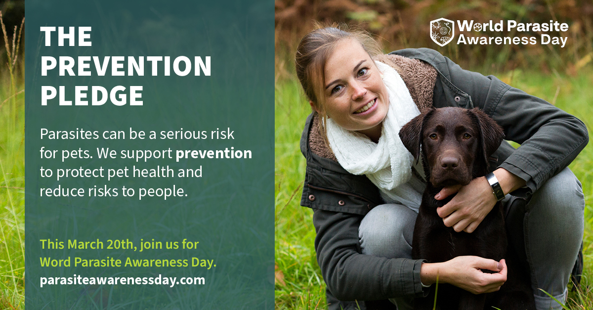 HealthforAnimals tweet media