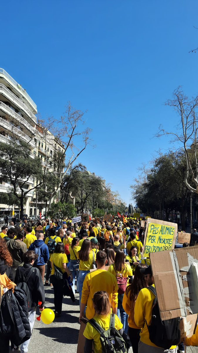 CGT Terres de l'Ebre tweet media