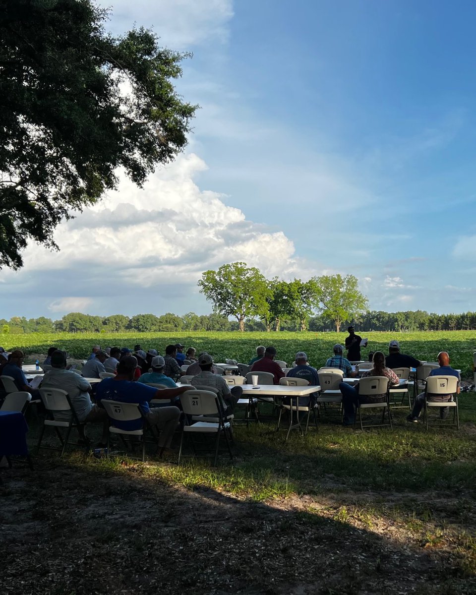 Harrell’s LLC tweet media