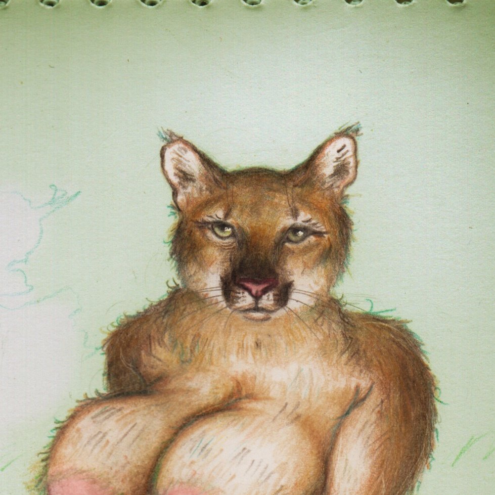 🕯🥛•malahiya•🥛🕯 tweet media