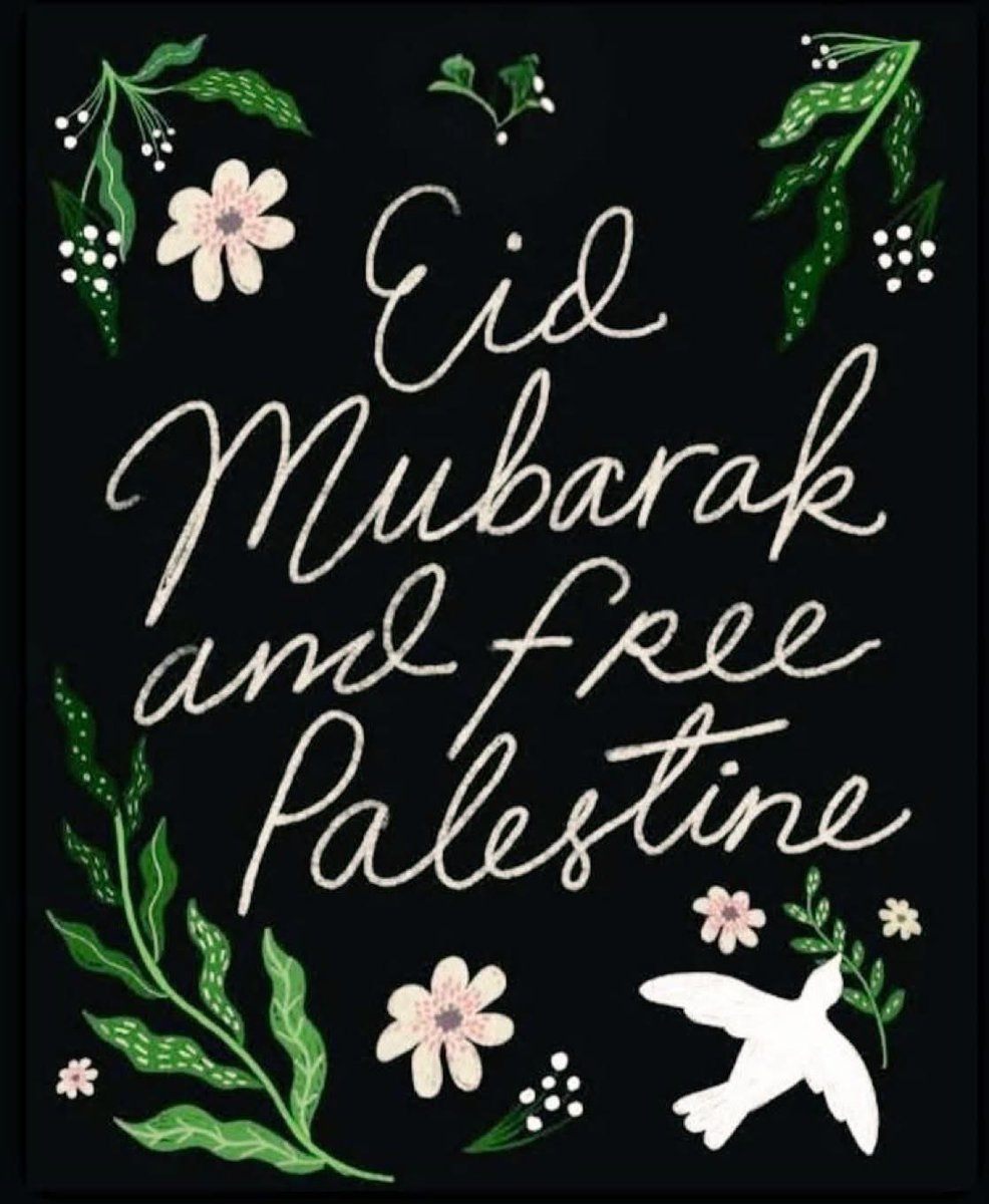 romaissa tweet media