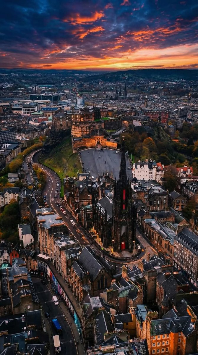 Wildscape Wonders tweet media