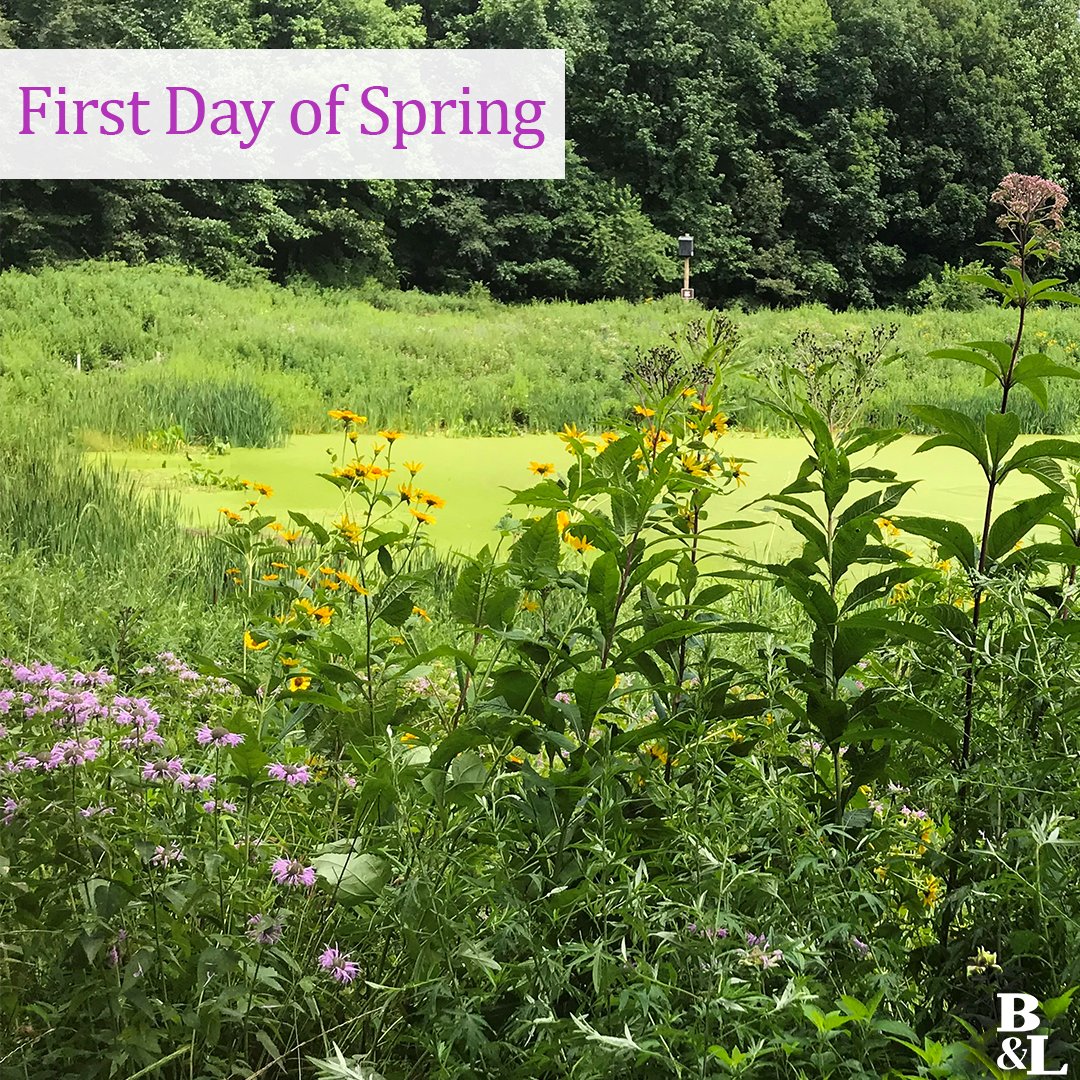 Barton & Loguidice tweet media