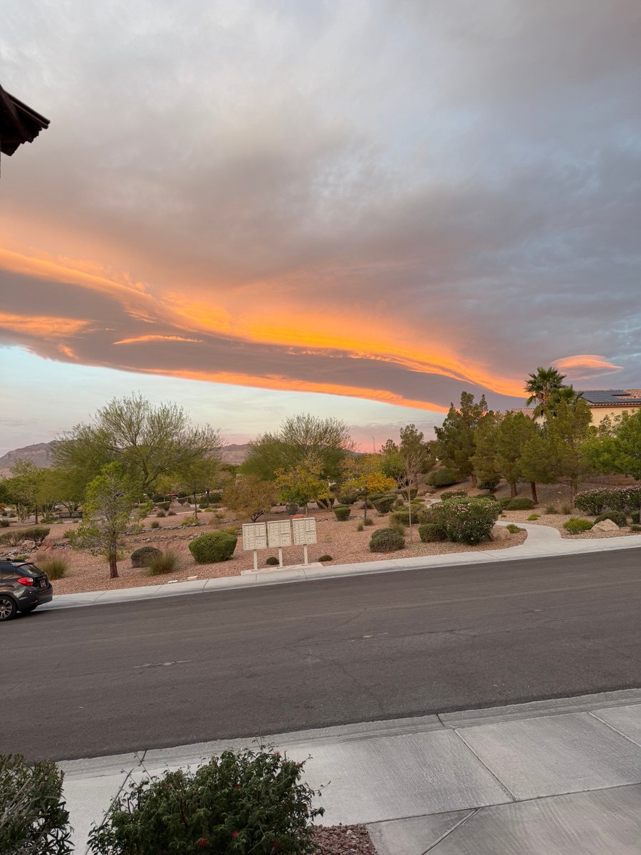 Duckduckjeep tweet media