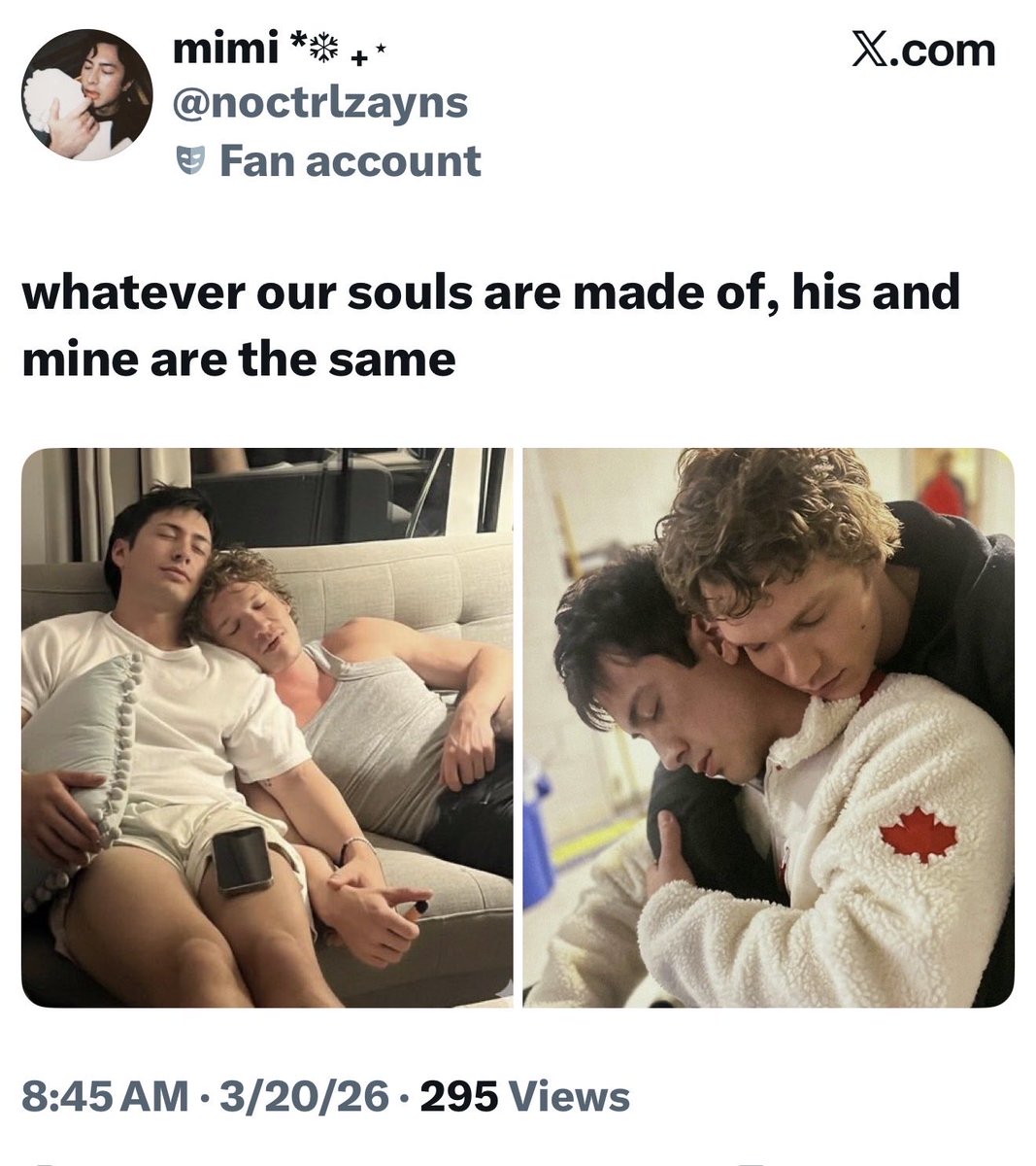 mimi *❆ ₊⋆ tweet media