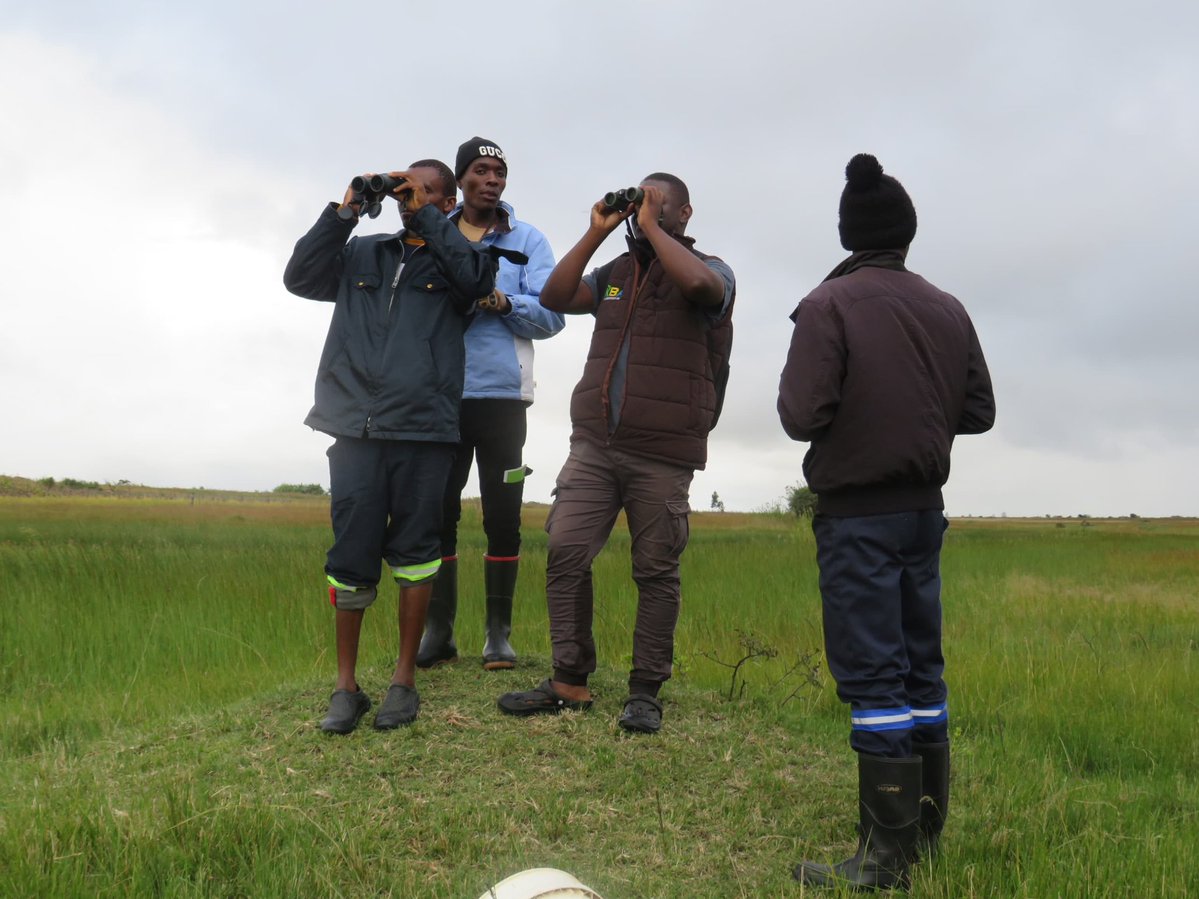 BirdLife Zimbabwe tweet media