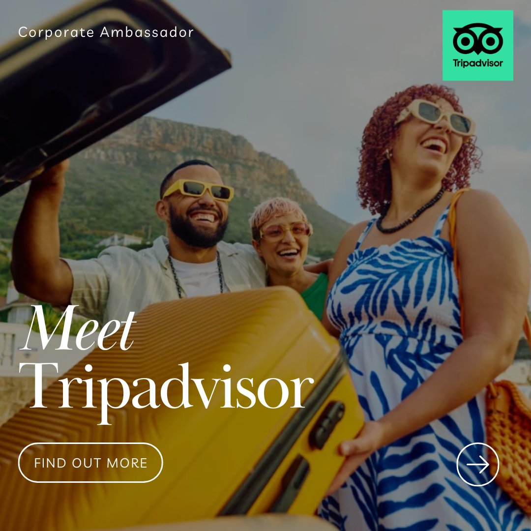 shecancodehq tweet media