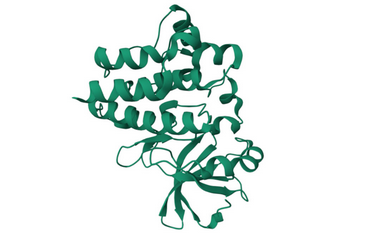 Pathogens MDPI tweet media